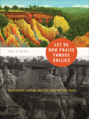 cover image of Let Us Now Praise Famous Gullies